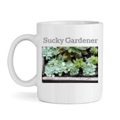 Sucky Gardner Cup